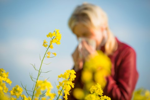 Manifestations-allergie-pollen