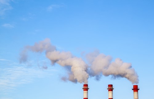 Pollen-allergie-pollution Manifestations-allergie-pollen