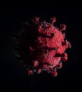 bacterie bacterie